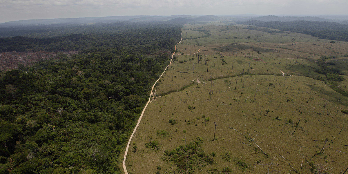 Un'area sottoposta a deforestazione in Brasile nel 2009 (AP Photo/Andre Penner, File)