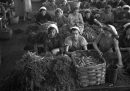Operaie di una fabbrica di prodotti alimentari, 1943 © Archivio Luce