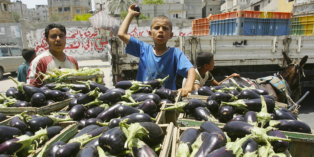 Bambini vendono melanzane a Gaza, 2005 (Abid Katib/Getty Images)