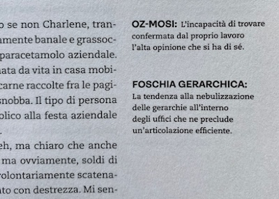 Una pagina del libro con le definizioni di "Oz-mosi" e "Foschia gerarchica"