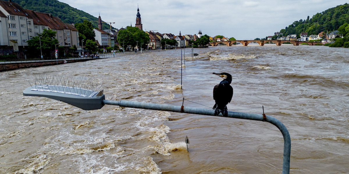 Four folks have died in floods in Germany