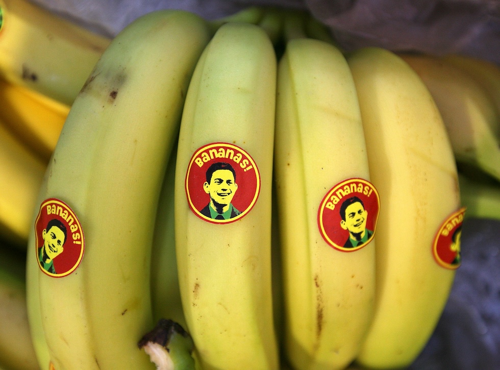 Banane con un bollino con la faccia del politico laburista David Miliband distribuite durante un evento dei Conservatori a Birmingham, il 29 settembre del 2008 