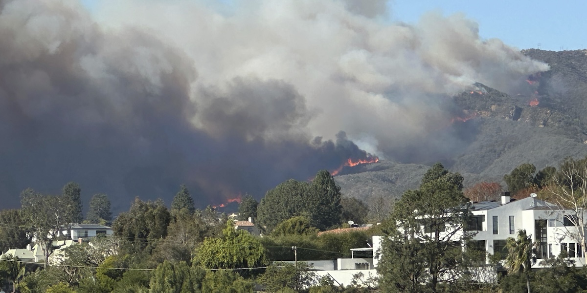(Tea Price/San Francisco Chronicle via AP)
