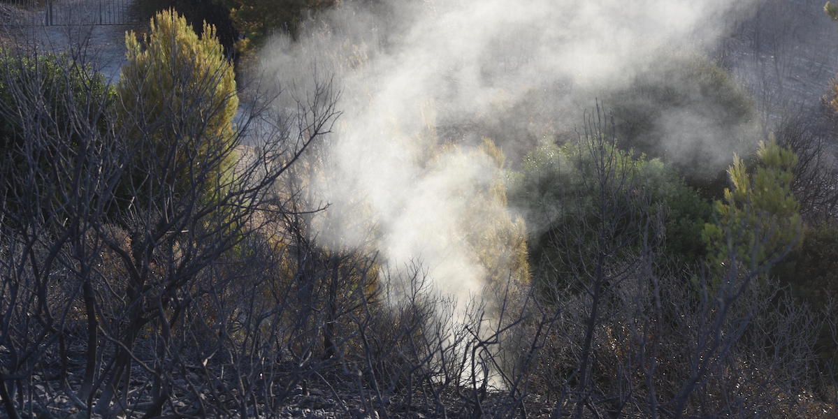 In Puglia è un'estate di incendi - Il Post
