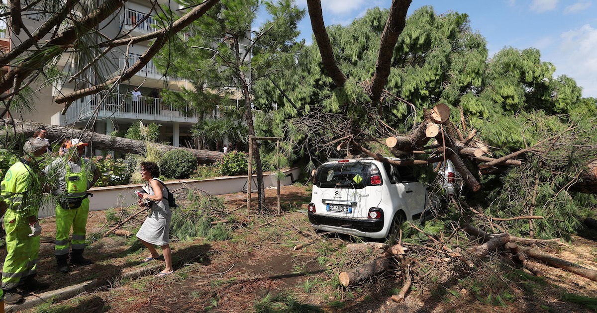 Il forte temporale in Romagna ha fatto cadere più di 250 alberi