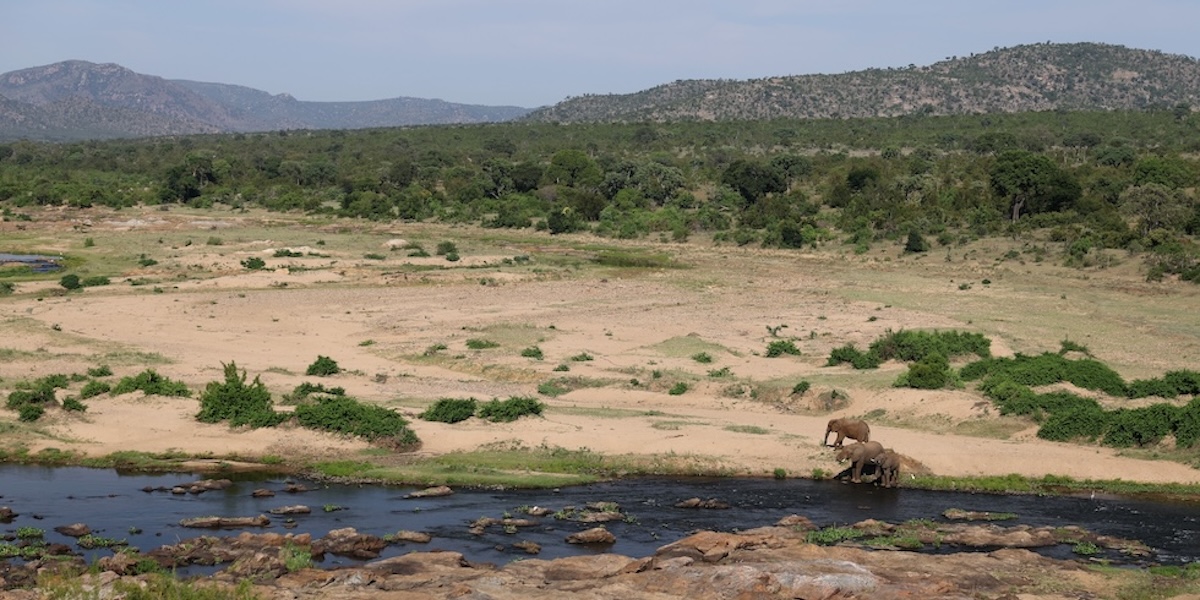 Il parco Kruger in Sudafrica, famoso per i safari, cambierà nome?