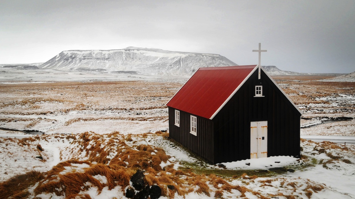 Le zanzare sono arrivate in Islanda