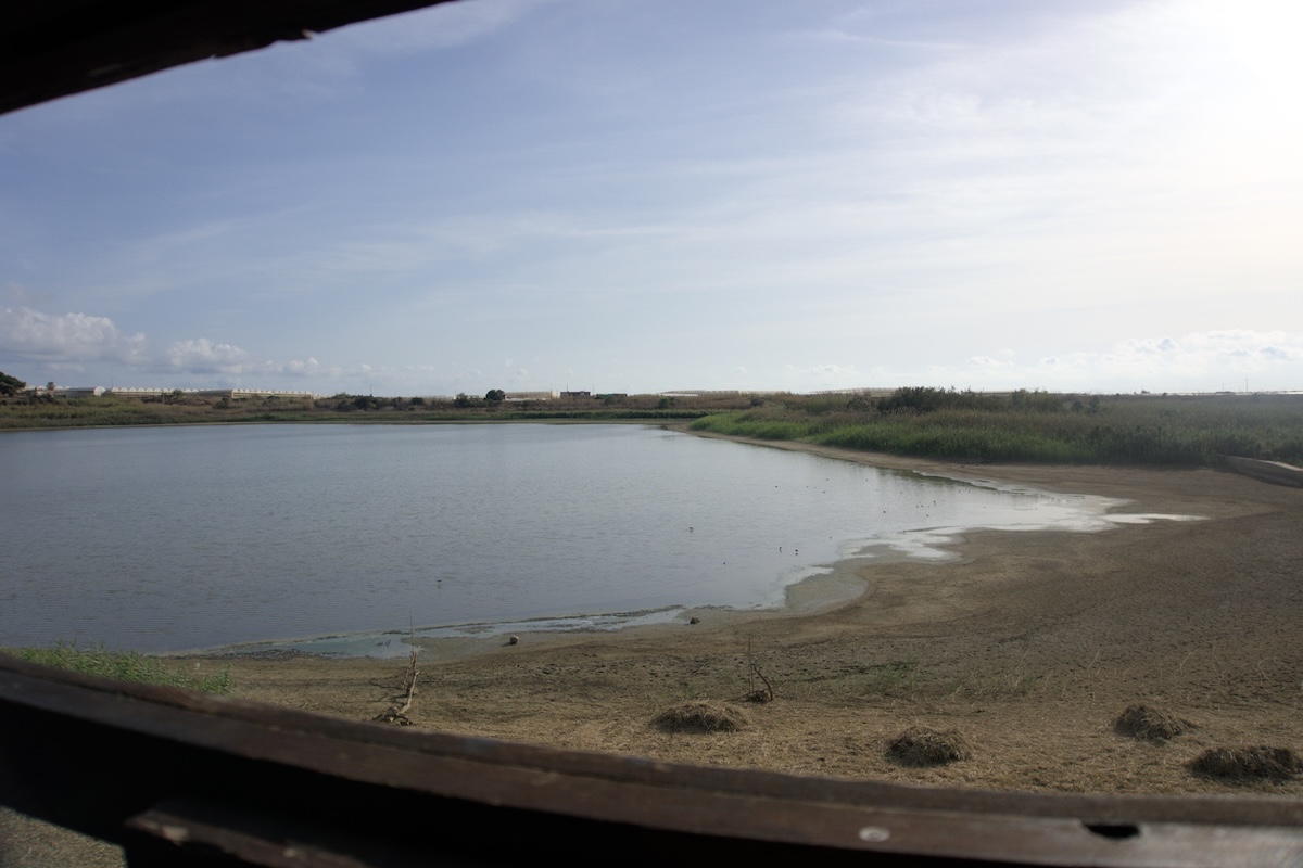 La riserva naturale di Gela aspetta da 30 anni una bonifica urgente