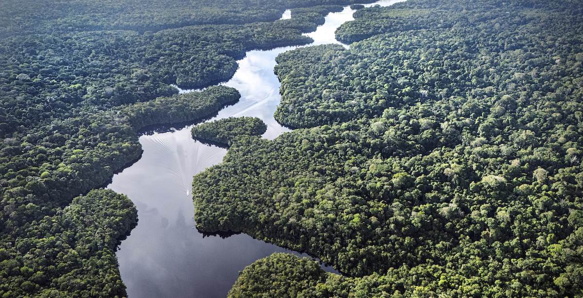 Come sta l’Amazzonia
