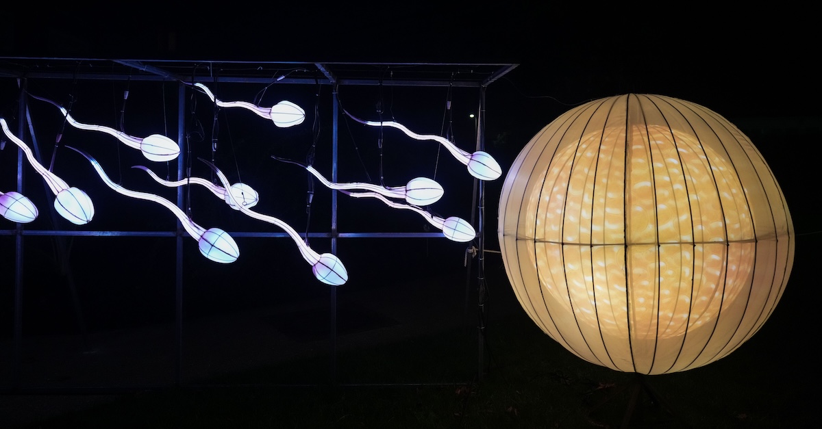 (Edward Berthelot/Getty Images)