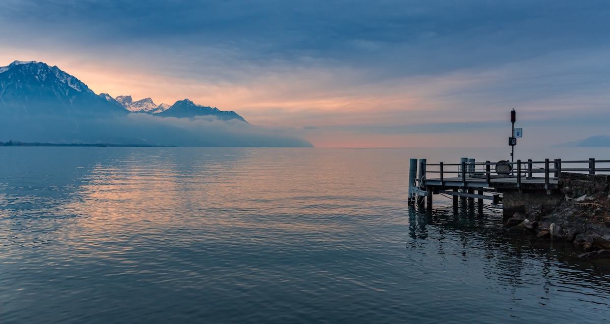 L’invasione di cozze nel lago di Ginevra
