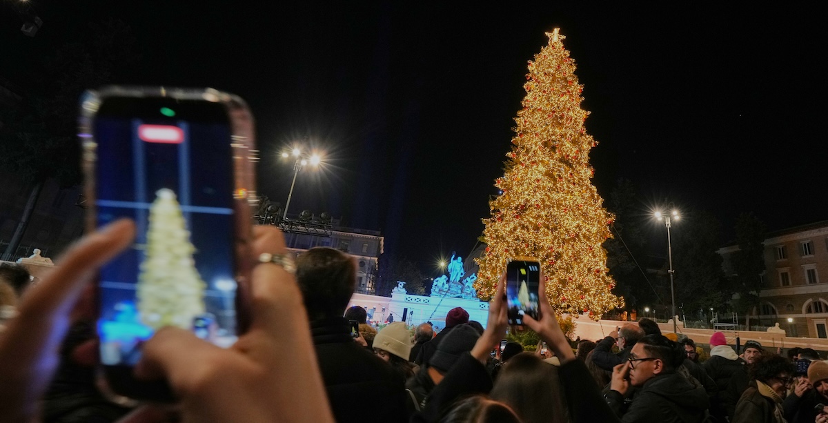 La ricerca affannosa dell’albero di Natale perfetto