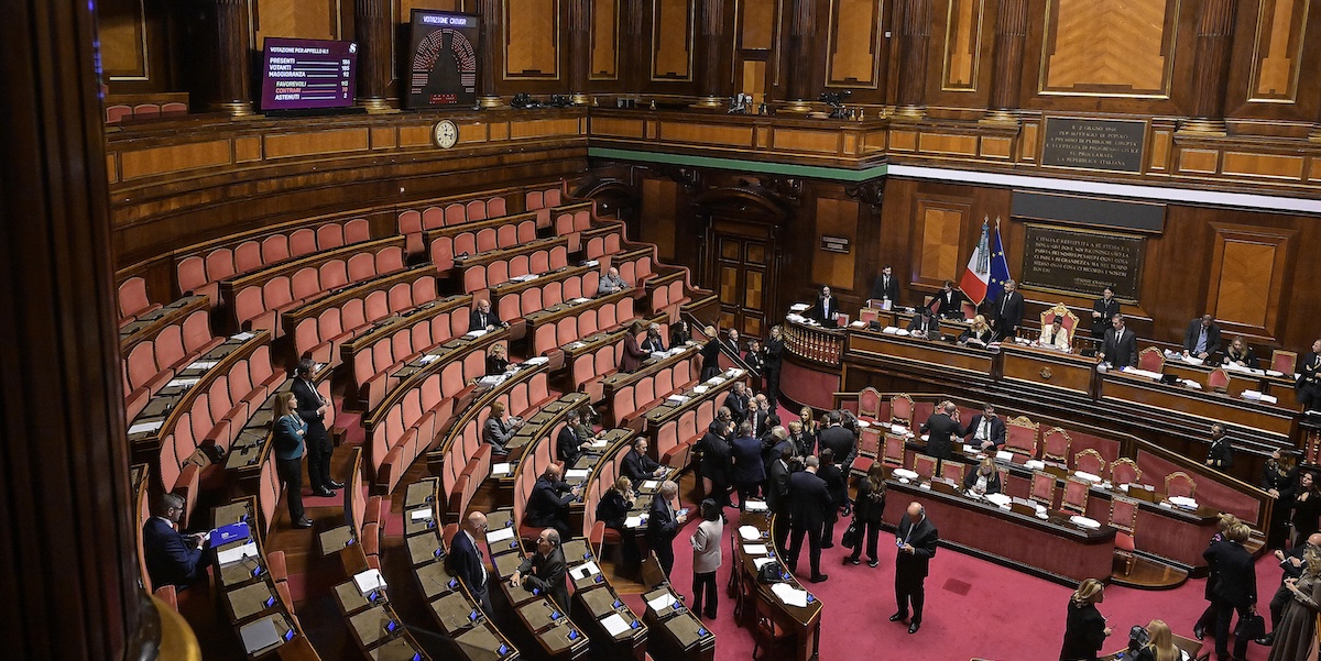 (ANSA/RICCARDO ANTIMIANI)