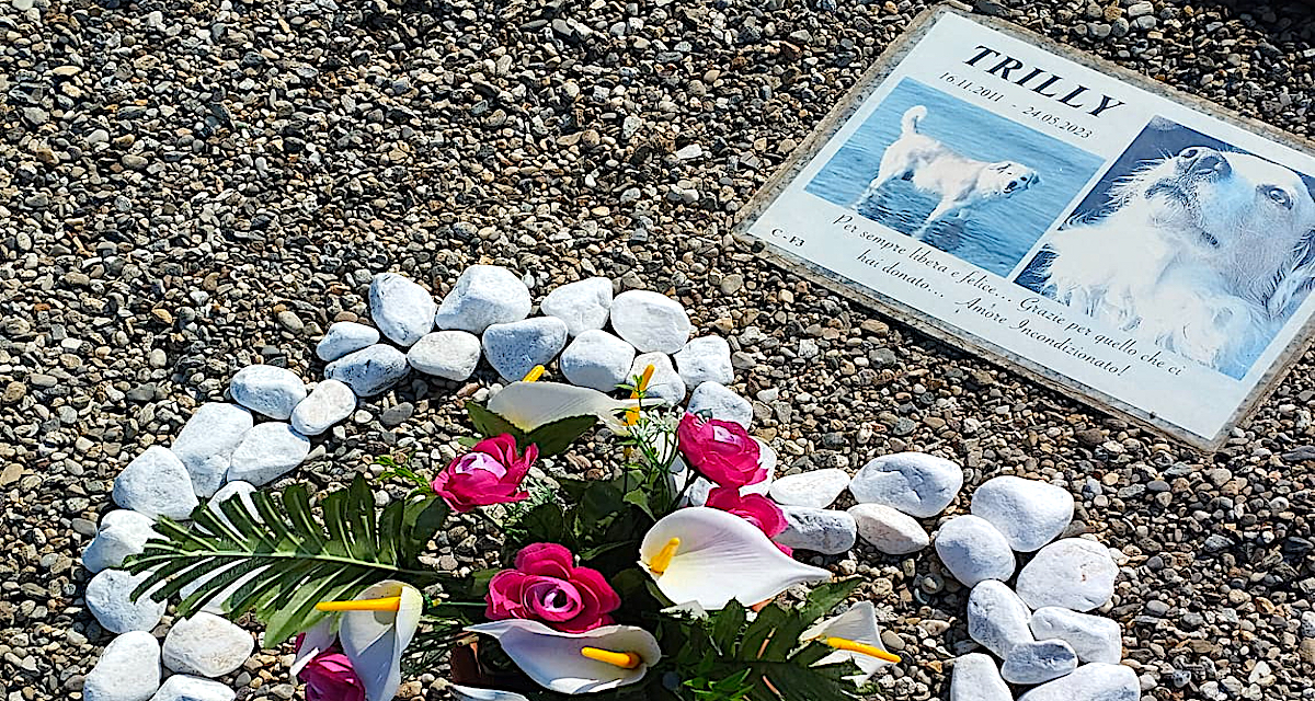 Onoranze funebri per animali