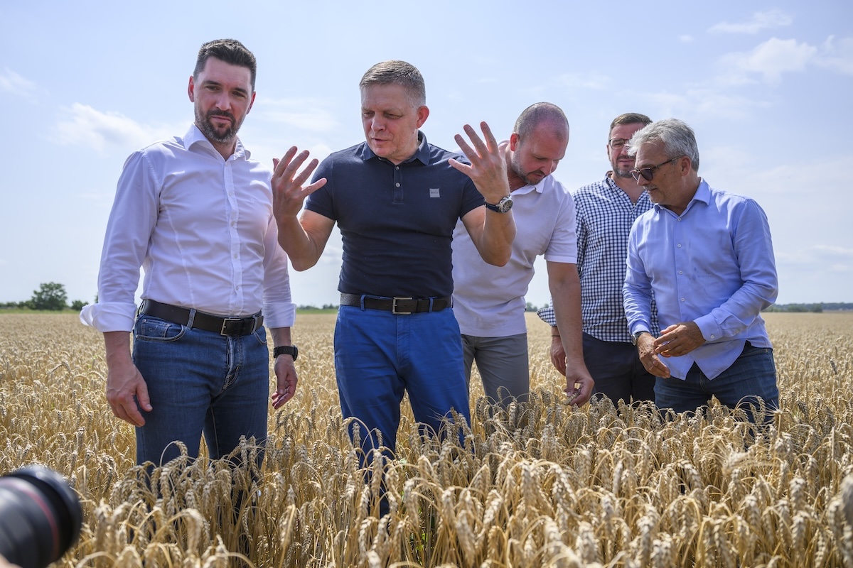 Usare vecchi decreti contro i nazisti per confiscare terreni