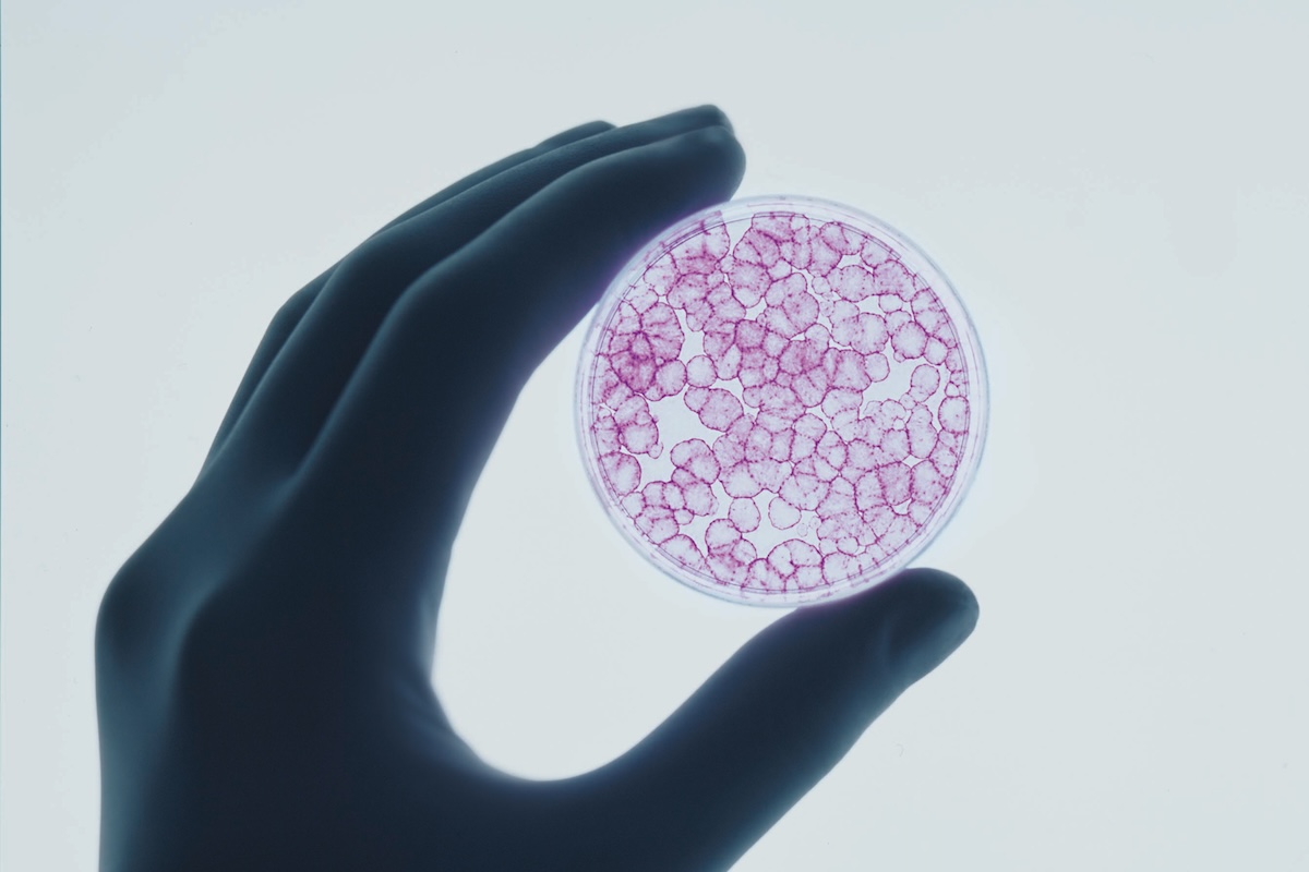 Le cellule di pelle ottenute da una cellula staminale