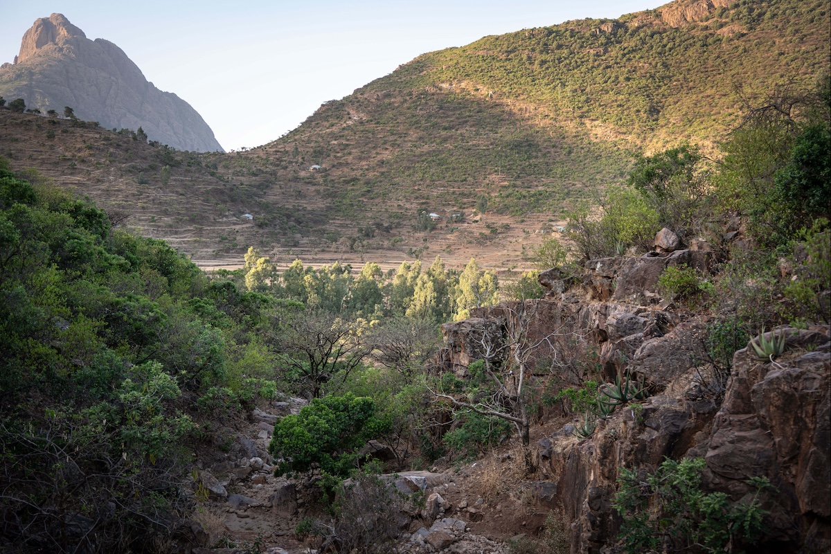 Qualcosa si muove nel Tigrè, e sono soldati