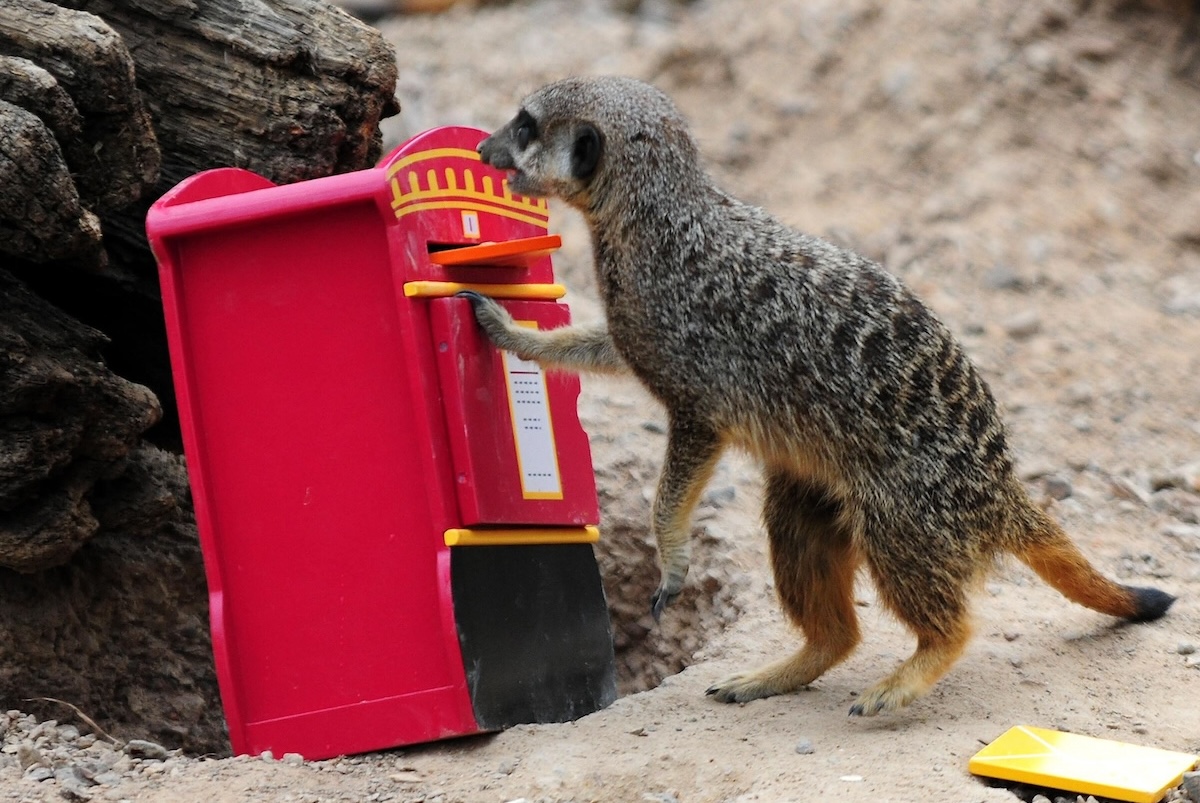 10 anni di Evening Post