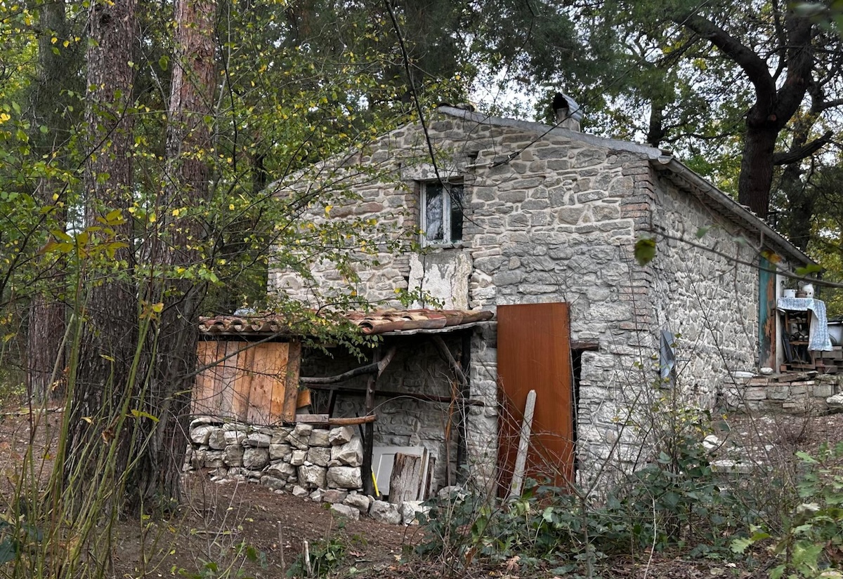 Quand’è che i figli devono essere allontanati dai genitori