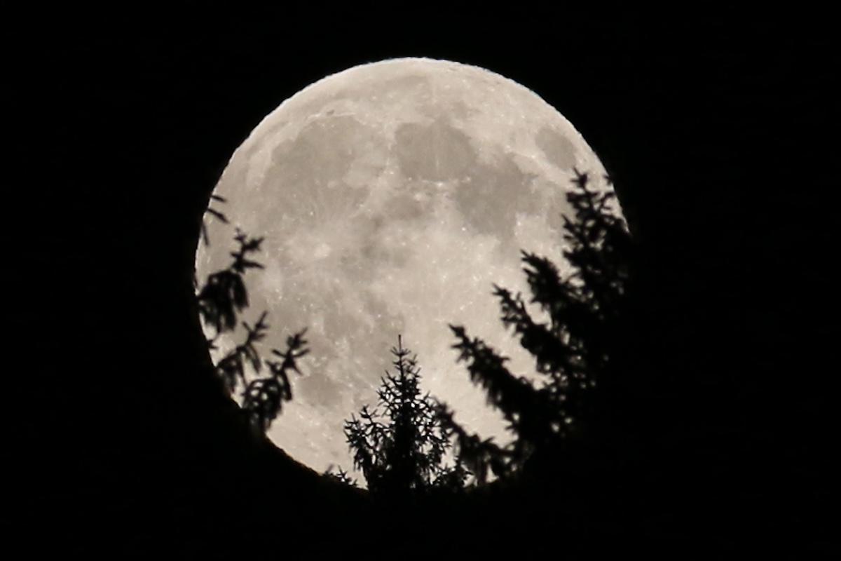 Il più vicino dei mondi lontani