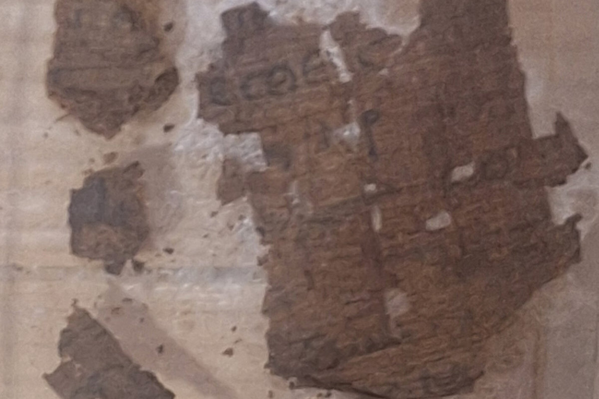 (Università di Barcellona)