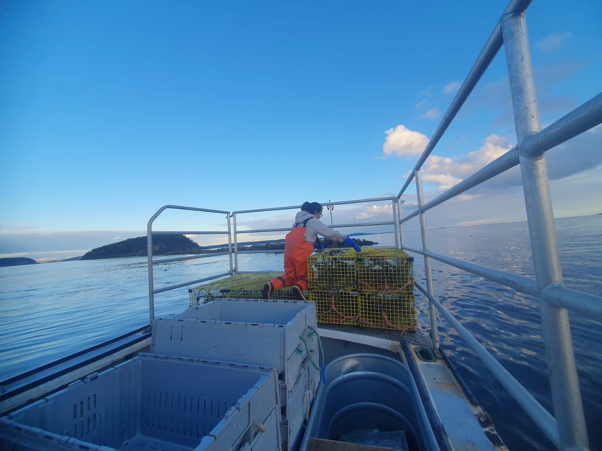 A pesca di astici in Maine