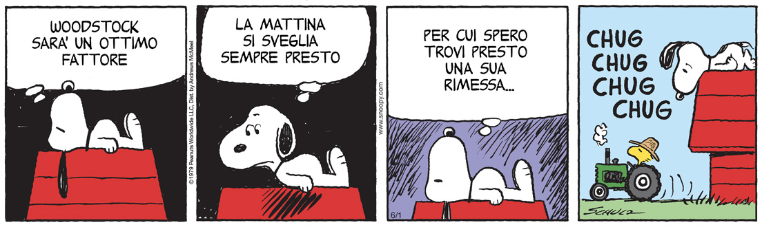 La striscia di oggi