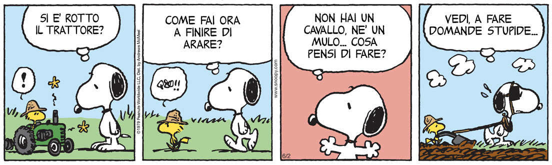 La striscia di oggi