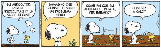 Peanuts 2026 giugno 03