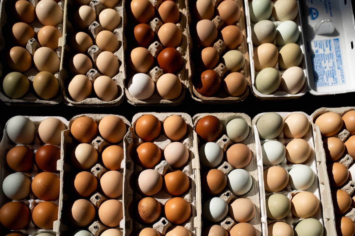 Lo scandalo del cartello delle uova negli Stati Uniti
