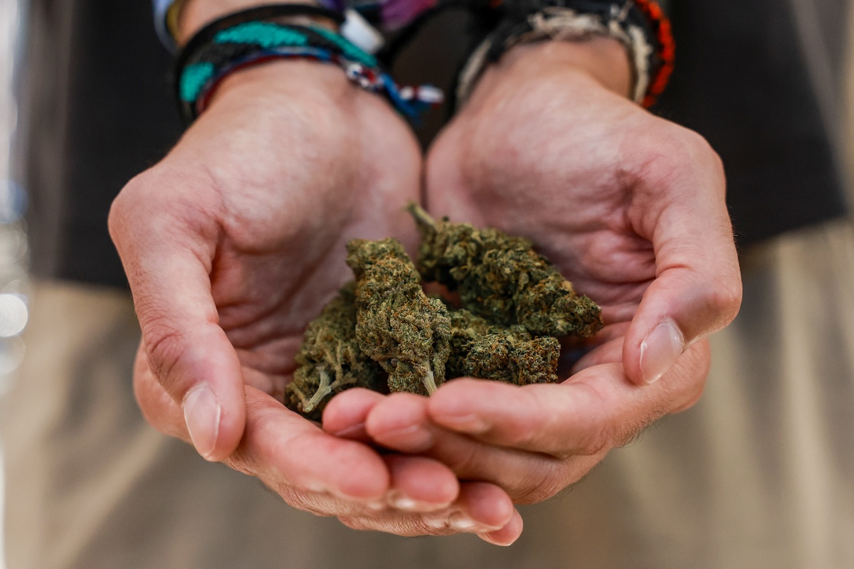La criminalizzazione della cannabis light non regge alla prova dei tribunali