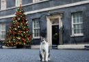 Larry e l'albero di Natale di Downing Street, il 2 dicembre del 2025
