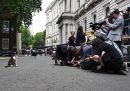 Fotografi e operatori video con Larry, il 21 luglio