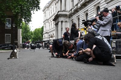 Fotografi e operatori video con Larry, il 21 luglio