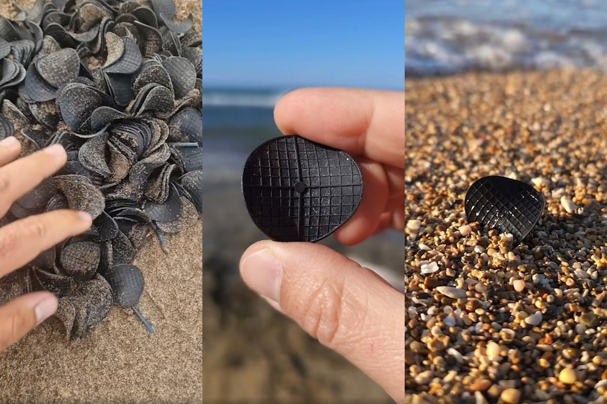 Sulle spiagge dell’Adriatico ci sono migliaia di dischetti neri di origine incerta