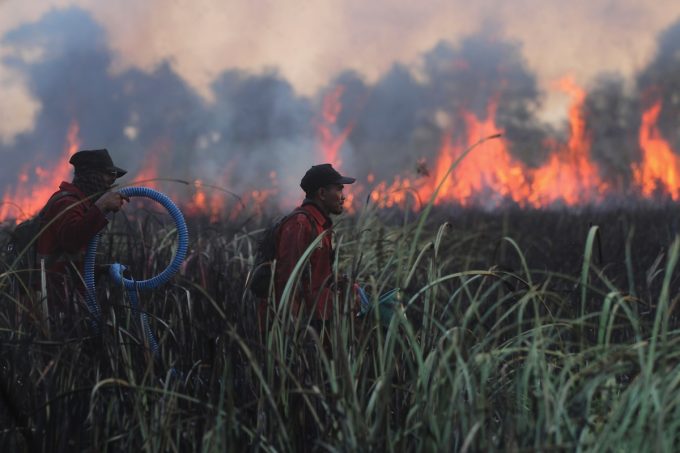 I peggiori incendi degli ultimi dieci anni in Indonesia