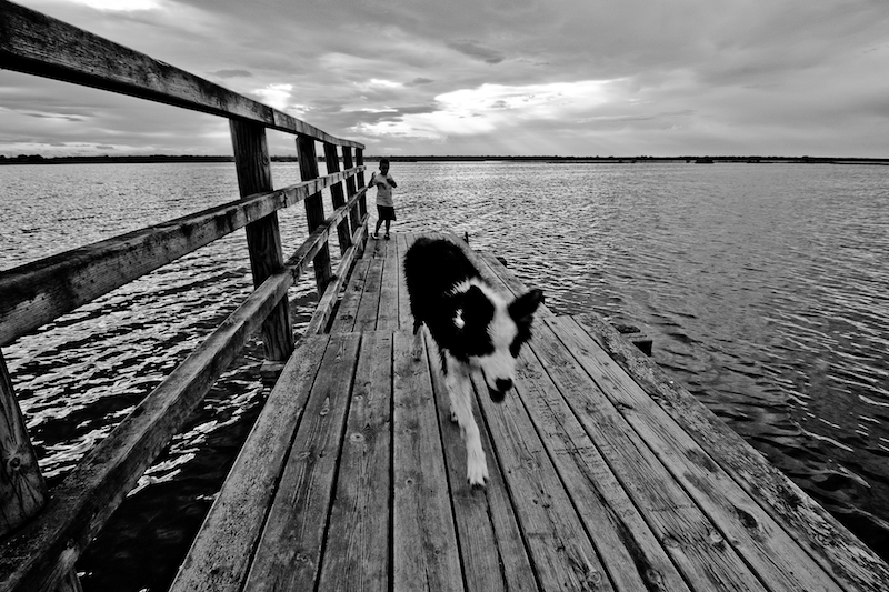 Senza nulla in cambio