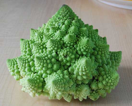 broccolo romano (da Wikipedia)