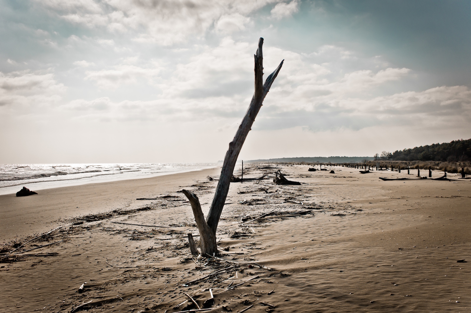 i Silenzi mai ascoltati