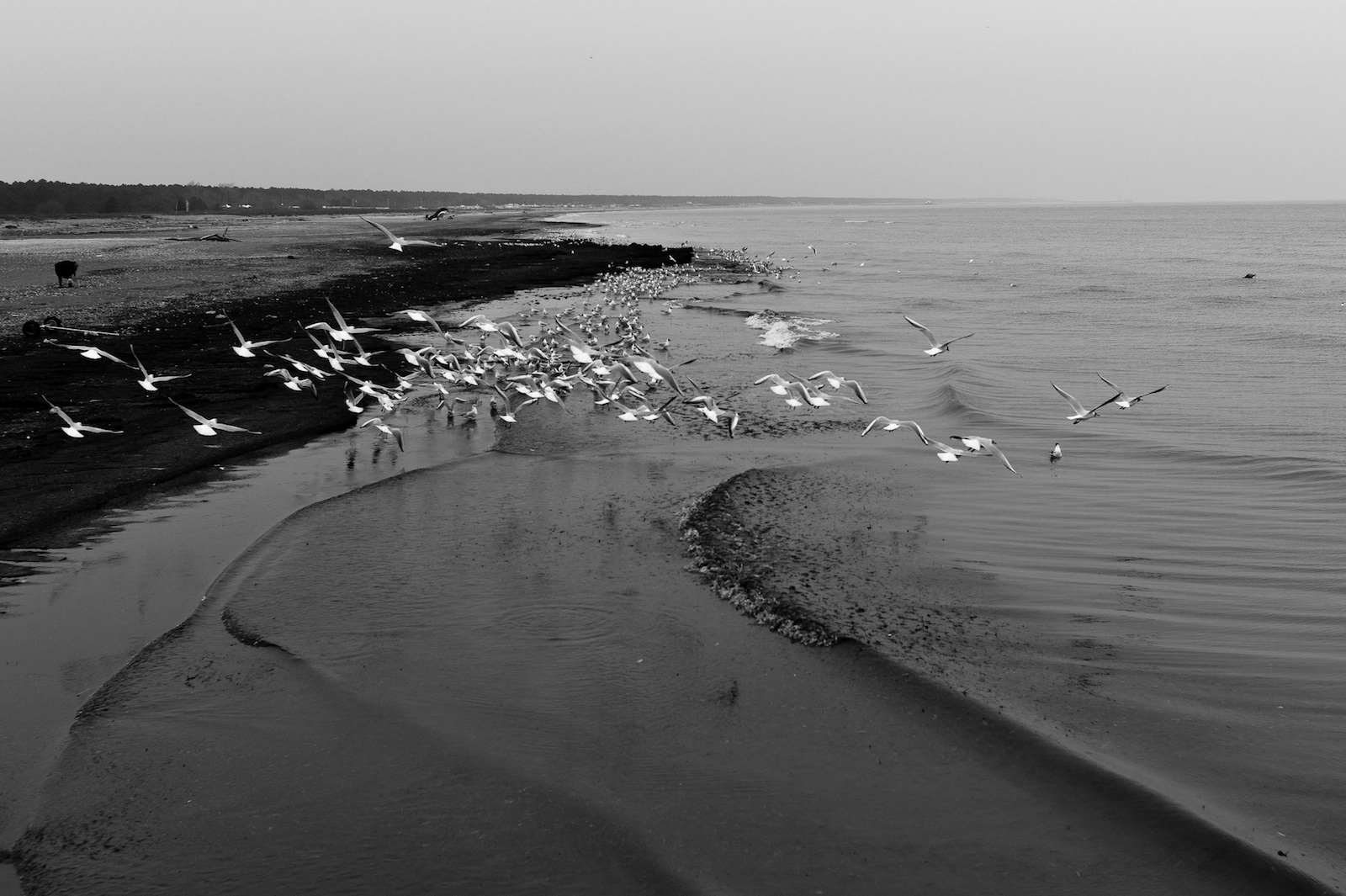 Storia nera di un giorno di marzo