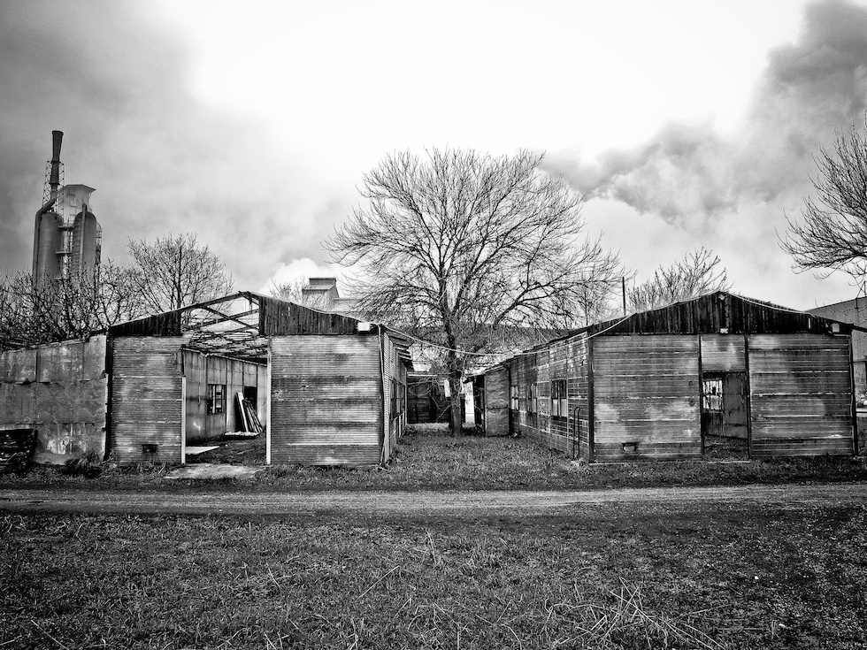 il Declino in presa diretta