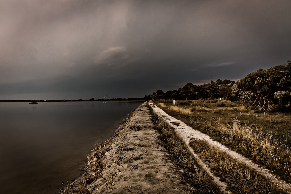 Siamo in guerra, questa è una battaglia.