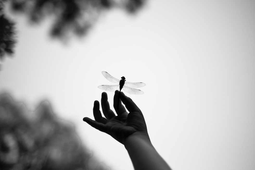 Guida pratica alle grandi scoperte