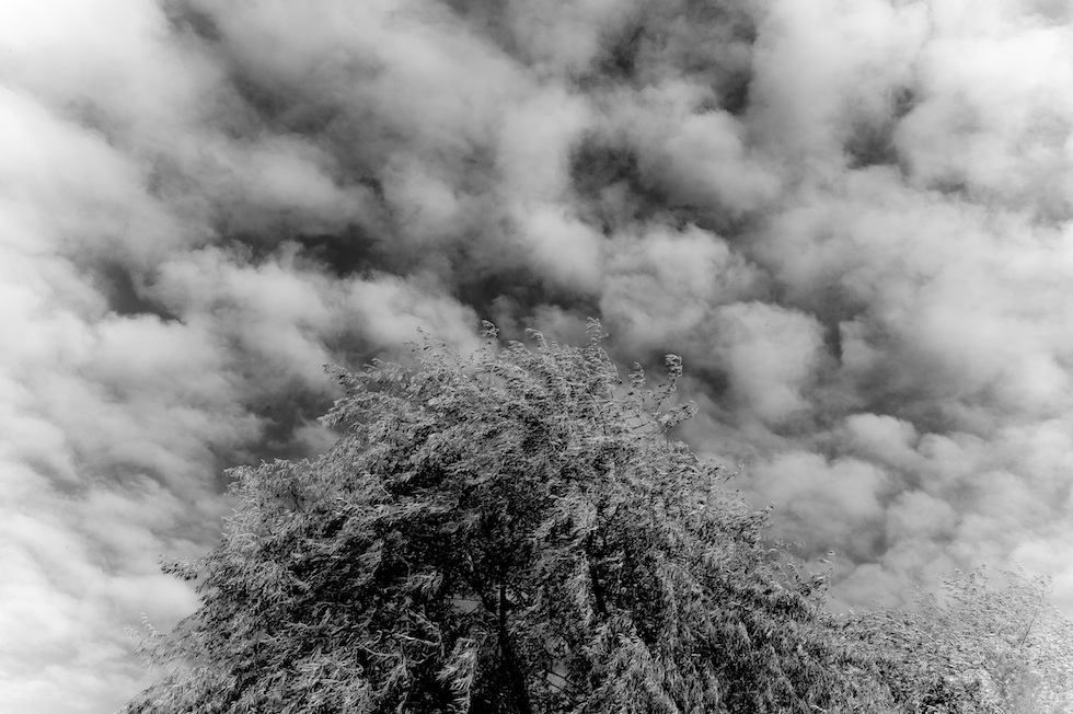 Nient’altro che il cielo in diretta