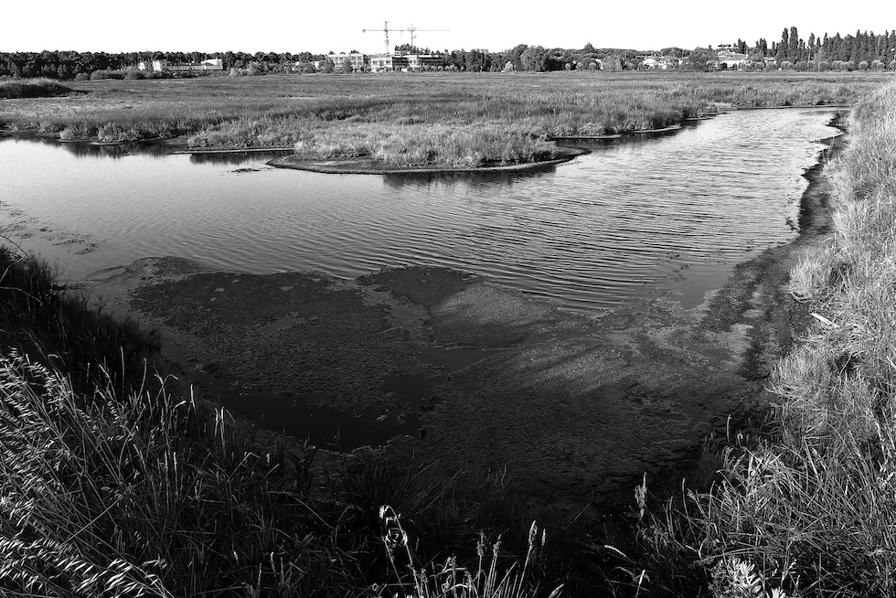 La vita che paghi per fare