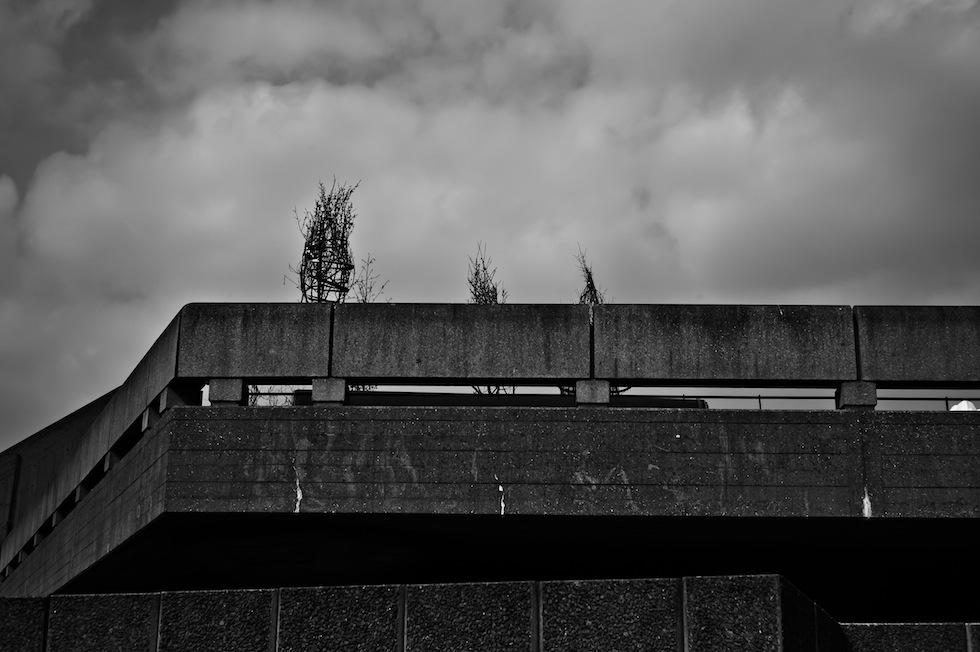 la bellezza che vedo