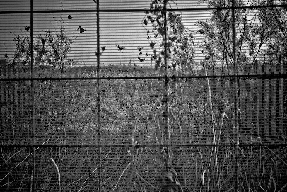 La bellezza è ovunque