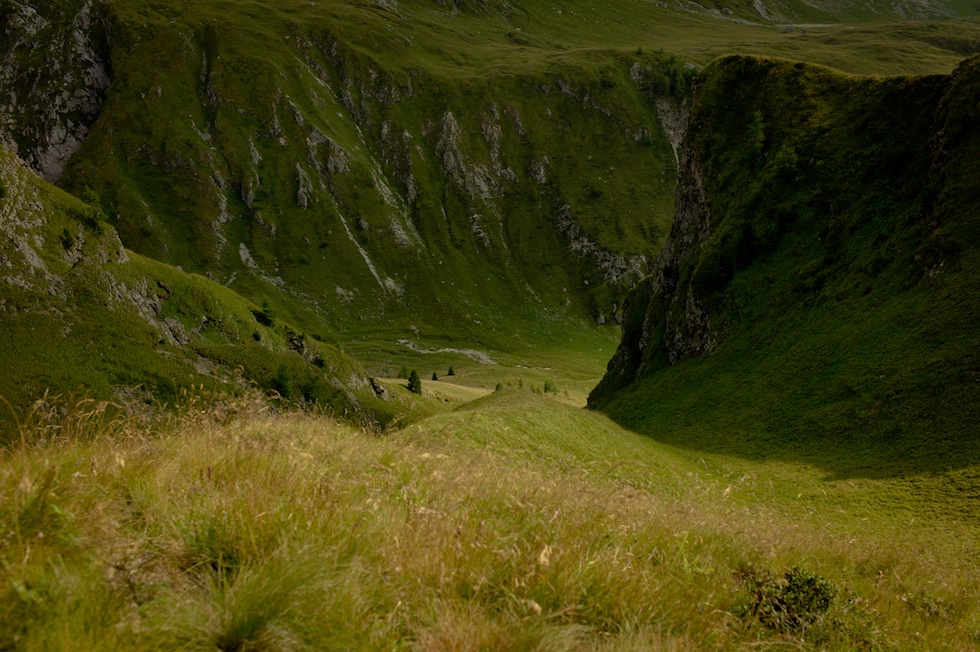 Sogni in verde meraviglia