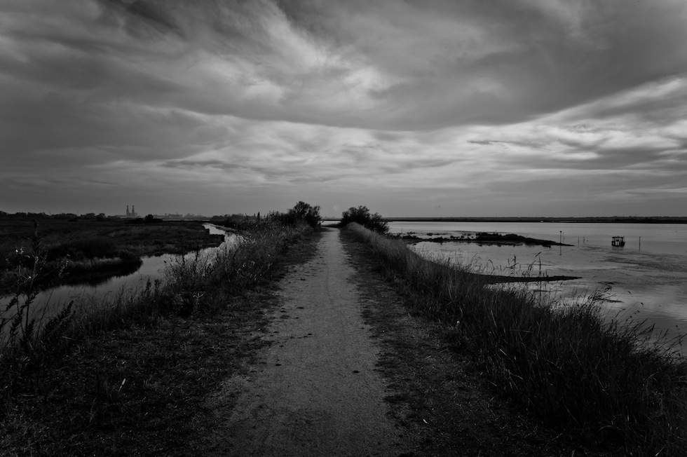 Cronache dal deserto rosso