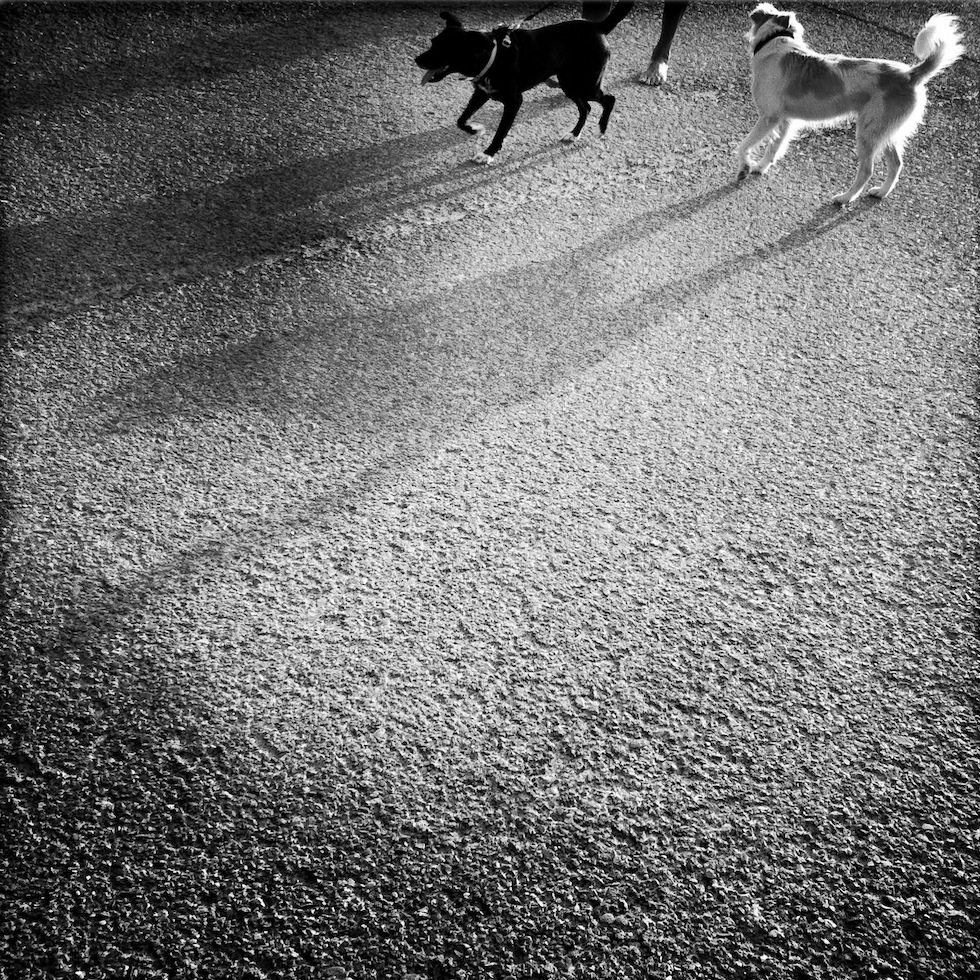 Poco di interessante da dire